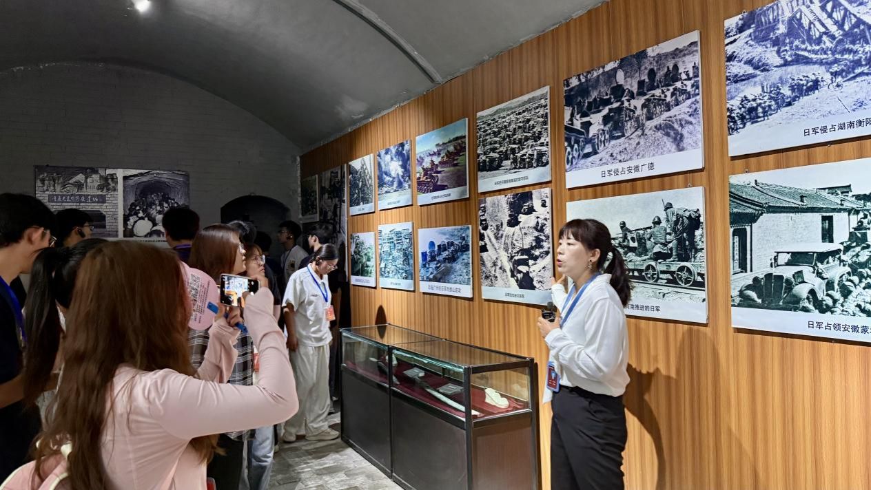 d6b113eae3e542dec1f3bd19e7c8901